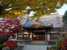 杉並区,高円寺,荻窪