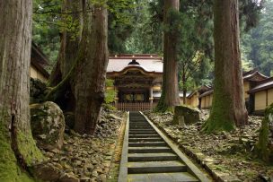 福井,坂井,越前