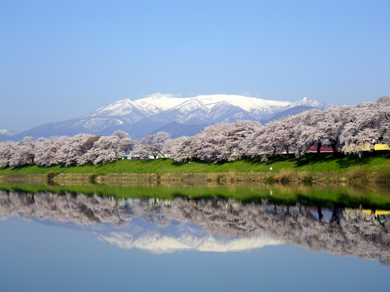 宮城,仙台,石巻