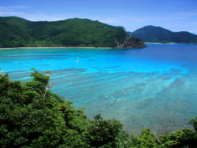鹿児島,霧島,鹿屋