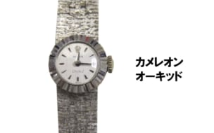 ロレックス買取カメレオンオーキッド