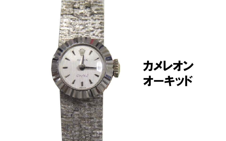 ロレックス買取カメレオンオーキッド