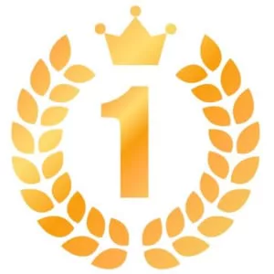 ランキング1位