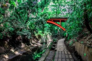 世田谷,三軒茶屋,駒沢