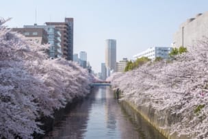 目黒区,自由が丘,祐天寺